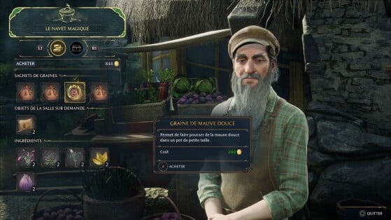 Hogwarts Legacy : L'Héritage de Poudlard