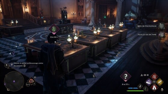 Hogwarts Legacy : L'Héritage de Poudlard