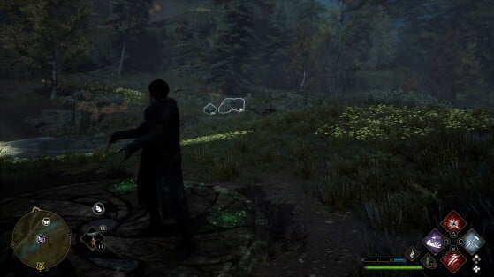 Hogwarts Legacy : L'Héritage de Poudlard