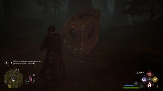 Hogwarts Legacy : L'Héritage de Poudlard