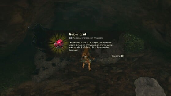 The Legend of Zelda : Tears of the Kingdom