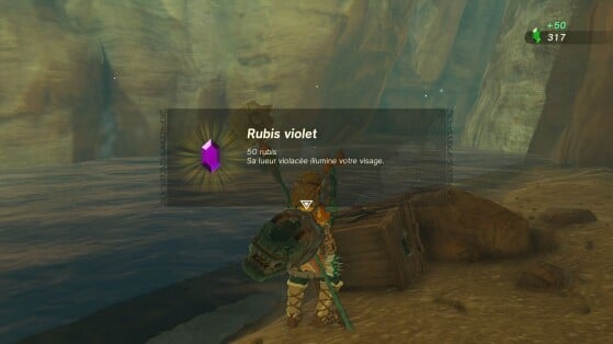 The Legend of Zelda : Tears of the Kingdom