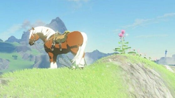 The Legend of Zelda : Tears of the Kingdom