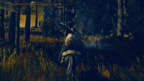 Elden Ring Shadow of the Erdtree