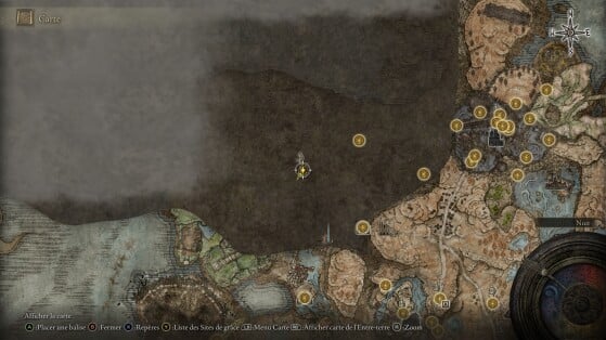 Elden Ring Shadow of the Erdtree