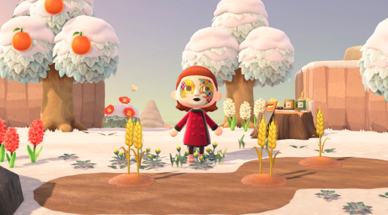 Animal Crossing New Horizons